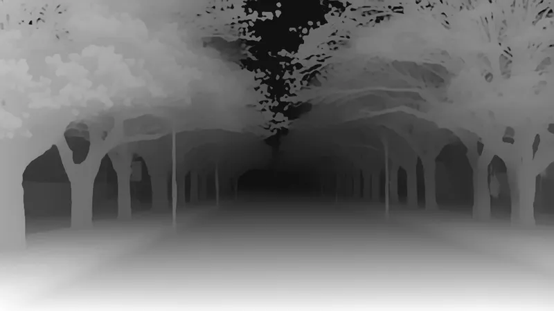 Depth map of the jacaranda avenue: near things are bright, far things dark